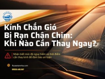Kính Chắn Gió Bị Rạn Chân Chim. Khi Nào Cần Thay Ngay?