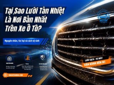 Tại Sao Lưới Tản Nhiệt Là Nơi Bẩn Nhất Trên Xe Ô Tô?