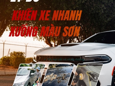 Lý Do Khiến Xe Nhanh Xuống Màu Sơn Và Cách Khắc Phục Như Thế Nào?